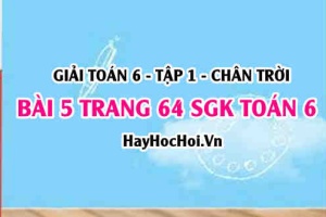 Giải bài 5 trang 64 Toán 6 Tập 1 SGK Chân trời sáng tạo